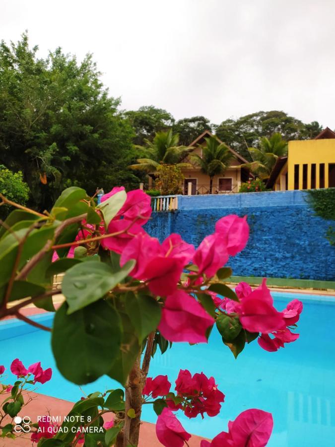 Guaramiranga-Ce Chale Do Rei Villa Dış mekan fotoğraf